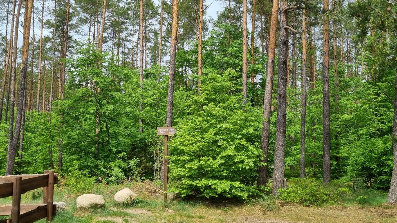 Ptasie Radio, Domek 48.2 Ostoja Bukowo Borowy Mlyn Exterior photo